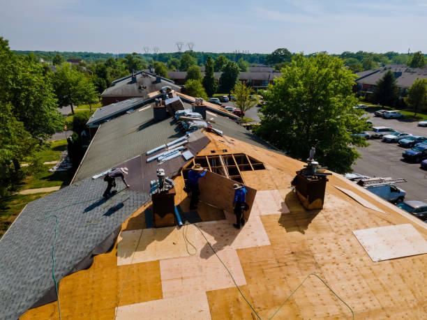 Best Commercial Roofing Services  in Rosharon, TX