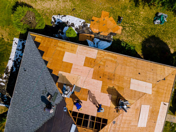 Best Flat Roof Repair Services  in Rosharon, TX
