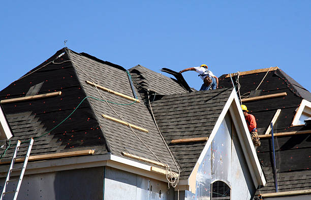 Best Gutter Installation and Roofing  in Rosharon, TX